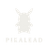 PikaLead